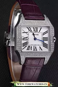 Cartier Santos 100 Diamond Silver Bezel En59826