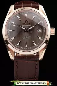 Omega Seamaster Railmaster Brown Strap Brown Striped Dial En58120