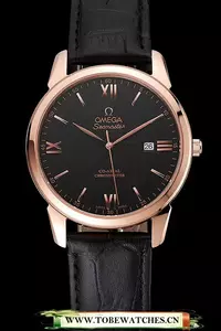 Omega Seamaster Master Co Axial Black Dial Black Leather Bracelet En124466