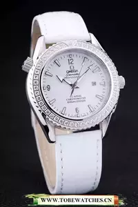 Omega Seamaster   En58394