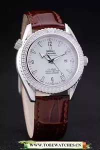 Omega Seamaster   En58396